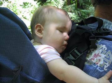 We hiked at Pt. Reyes national park (reserve? something), Audrey was enthralled.