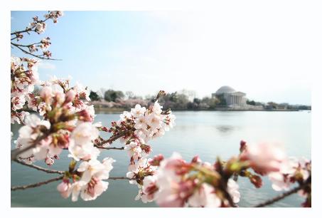 Jefferson Memorial in the rear.