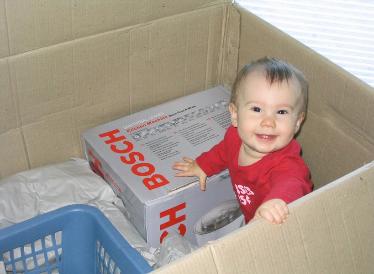 Audrey had fun hanging out in the moving box.