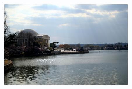 Although you can't see the blossoms too well, I liked the light.