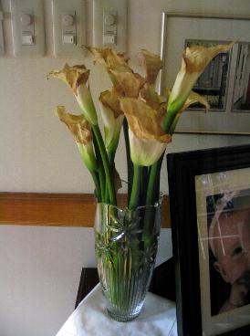 I like to call this one 'coffin.'  Isn't that what vases are, really?