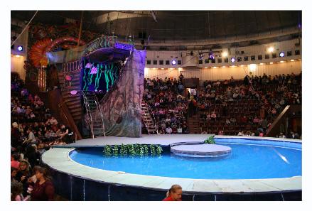 The stage.  The whole thing was set up on water and used the water a lot.