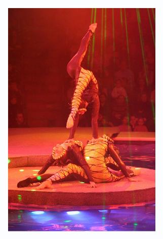 The contortionists.  I don't think I'd ever want to be able to do that with my body.