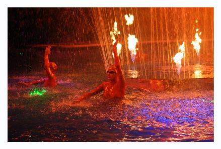 During every act they had synchronized swimmers in the water dancing to the music.