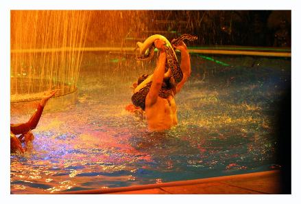 This guy played with three 8 foot long snakes.  Crazy.