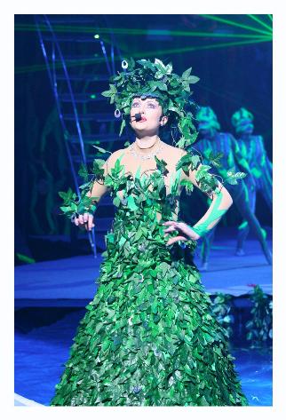 This lady sang for most of the numbers.  Enya style songs.  Every dress had the same silhouette, but this was the coolest.