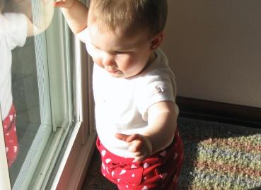 Audrey likes the sliding glass doors...  Is it because she likes looking at the outside, or she likes looking at her reflection?