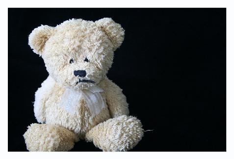 I used Audrey's Trevor bear to take some test shots.  He looks so sad in this picture.